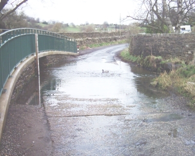 a ford across a narrow road with a duck paddling upstream